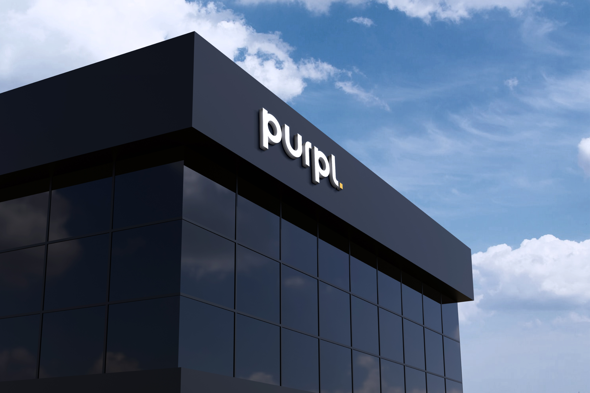 Purpl brand identity 4