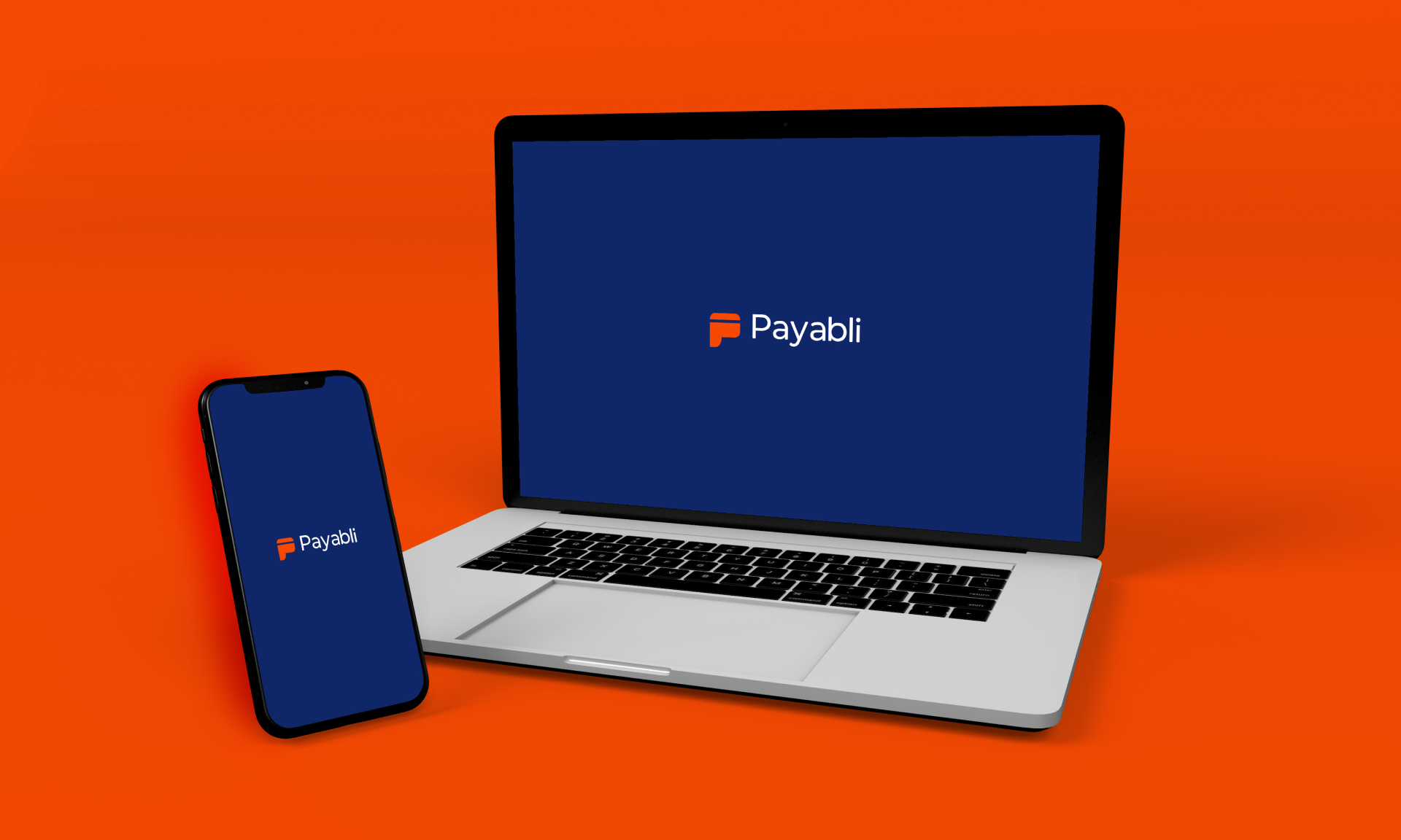 Payabli brand identity 6