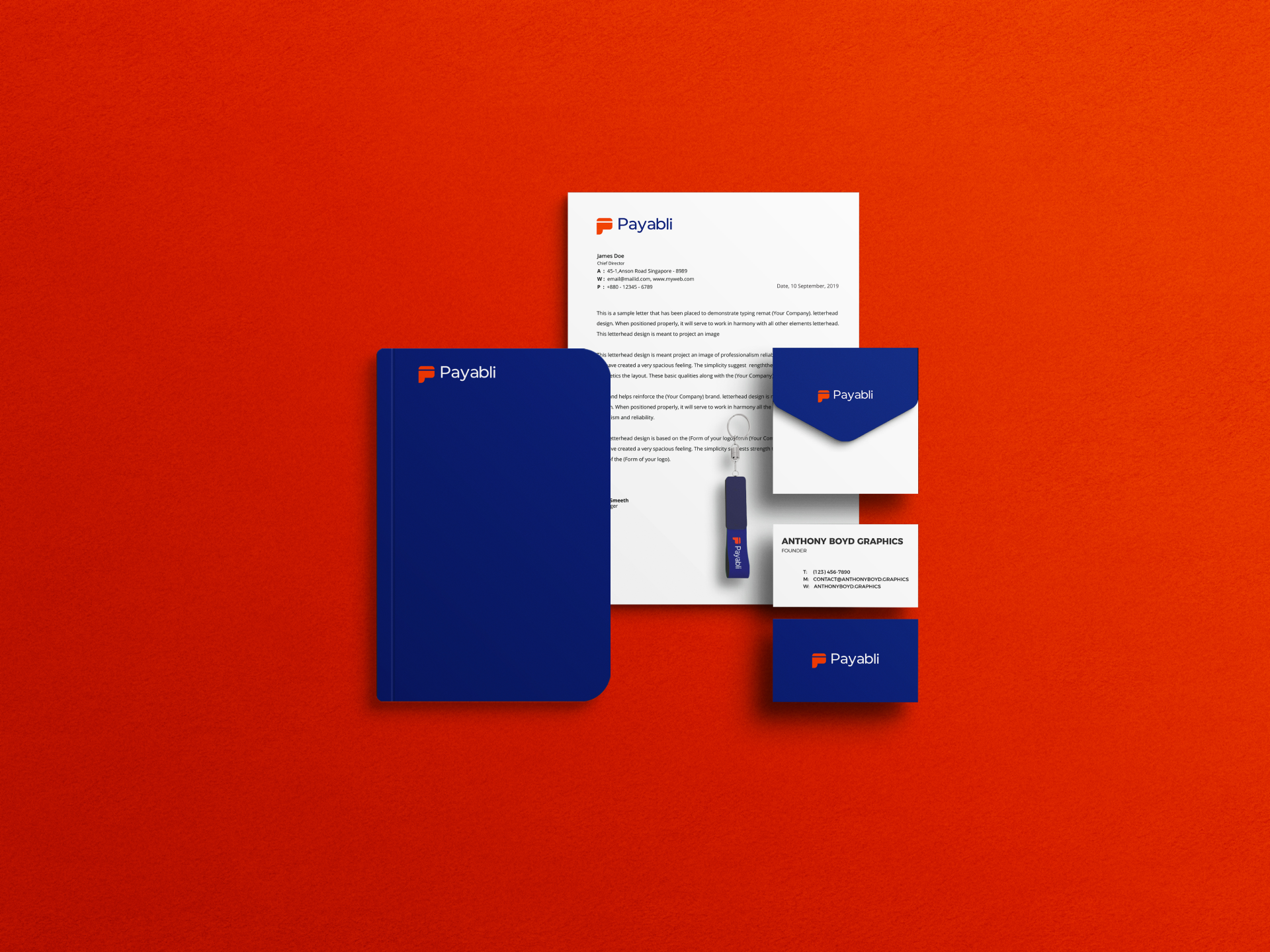 Payabli brand identity 7