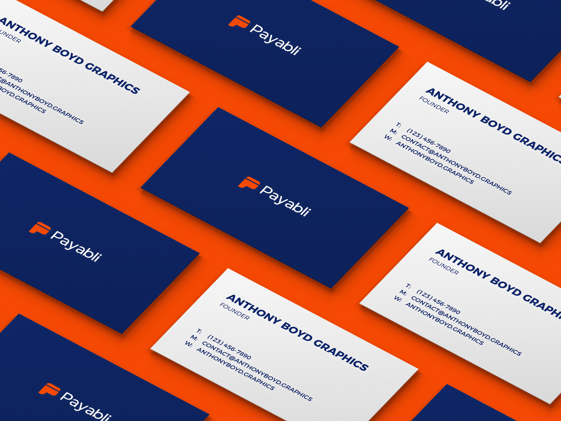 Payabli brand identity 9
